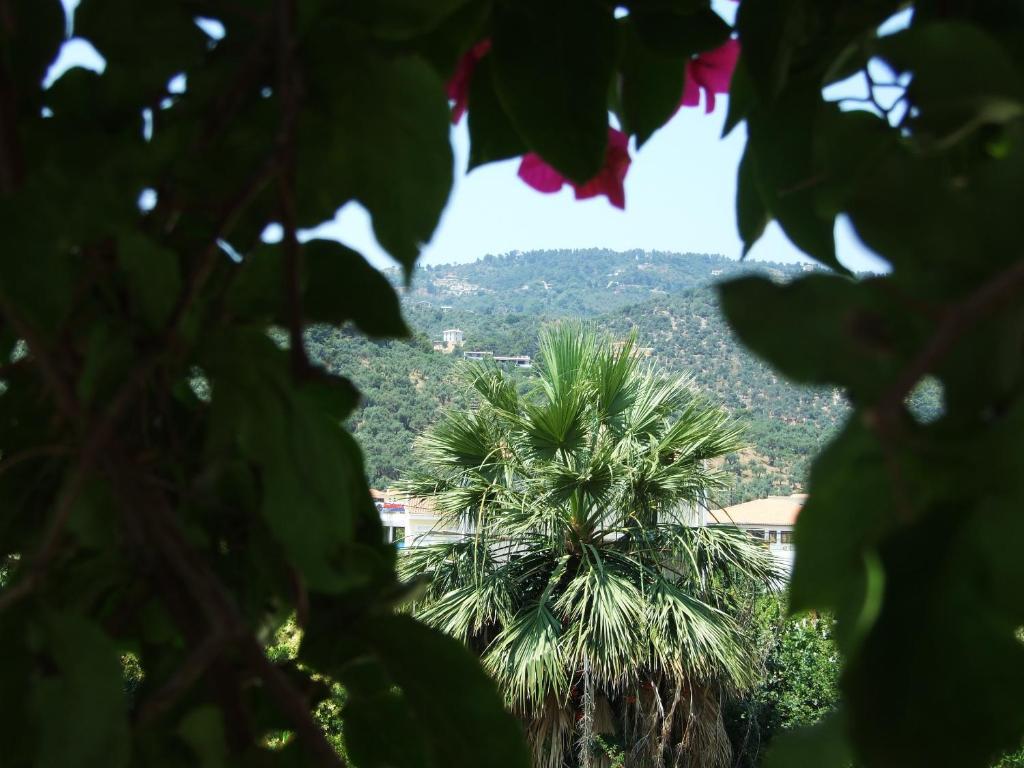 Fotinos House Skiathos Affittacamere Città di Skiathos